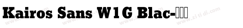 Kairos Sans W1G Blac字体转换